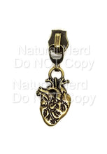 Load image into Gallery viewer, Anatomical Heart Zipper Pull