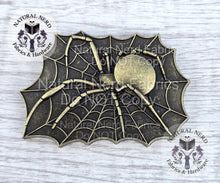 Load image into Gallery viewer, A bronze-colored metal spider web magnetic snap design with a spider in the center. The spider and web are detailed with intricate lines. The design is rectangular and has a vintage or antique appearance.