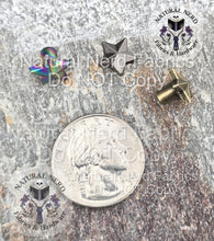 Load image into Gallery viewer, Metallic star-shaped Chicago screws on a textured surface with 'Natural Nerd' branding. Colors shown are matte rainbow, antique nickel, and bronze. They are next to a US quarter coin to show size scale.
