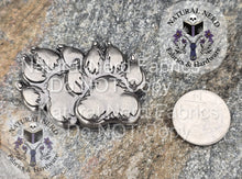 Load image into Gallery viewer, antique nickel paw print snap next to a US quarter for size comparison
