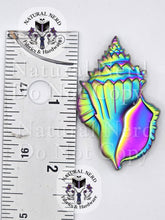 Load image into Gallery viewer, A matte rainbow conch shell-shaped magnetic snap shown next to a metal ruler for scale.
