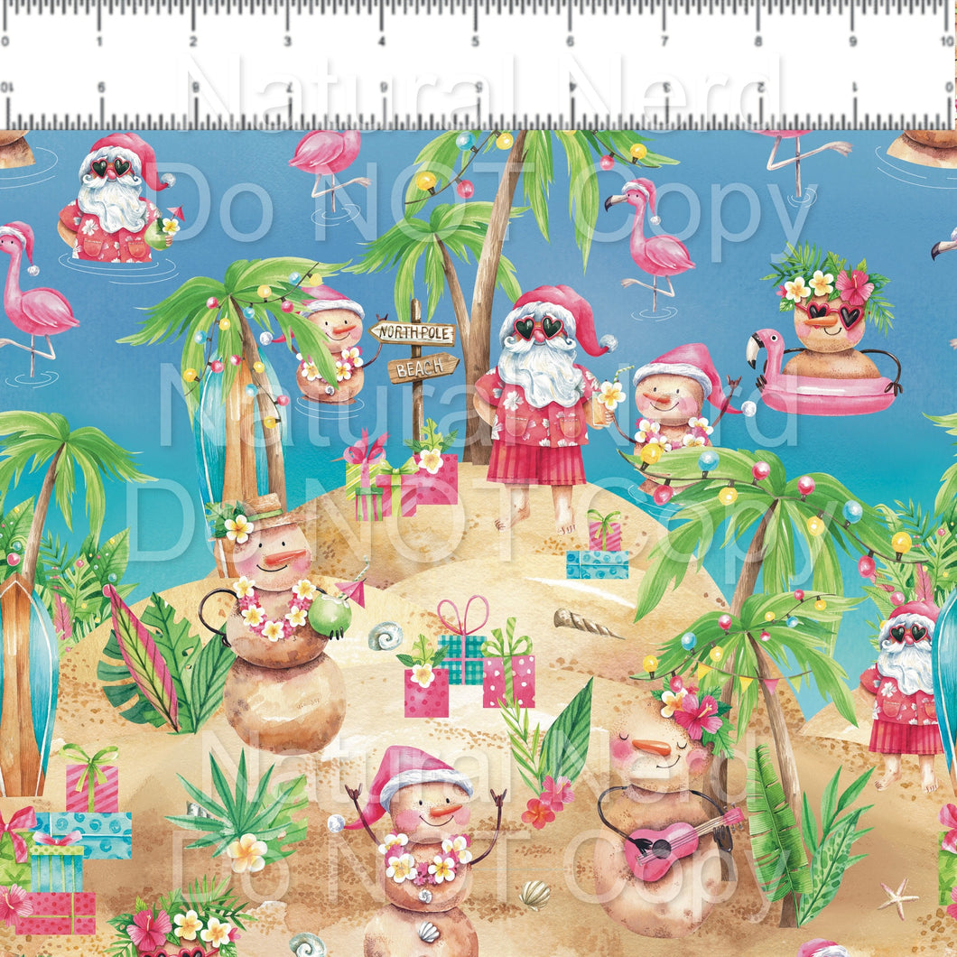 Sandy Claus