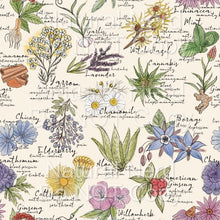 Load image into Gallery viewer, Apothecary
