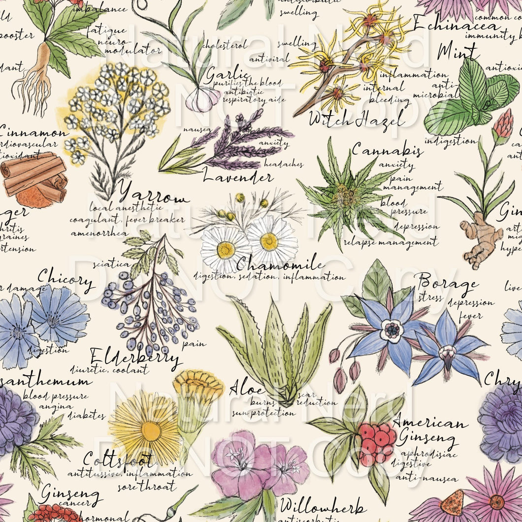 Apothecary